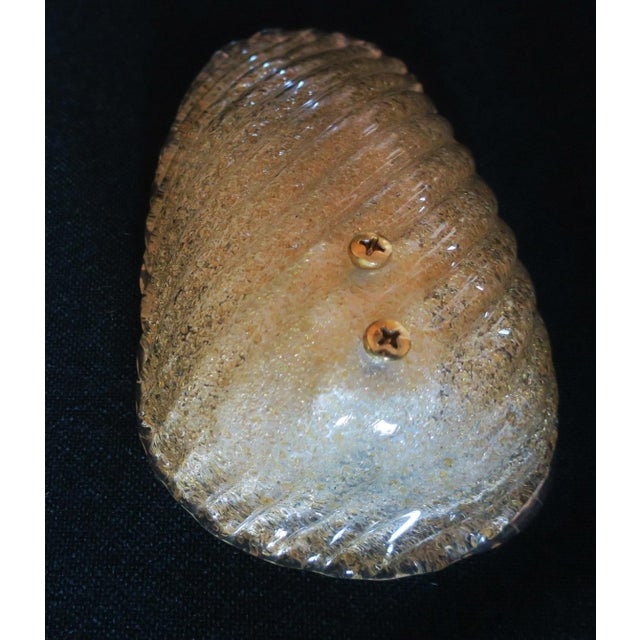 Mid-Century Murano Gold Flecked Conch Wall Light, Italy, 1960s For Sale - Image 6 of 9