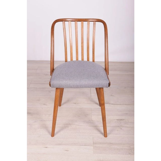 Dining Chairs by Antonín Šuman for Ton, 1960s, Set of 4 For Sale - Image 12 of 18