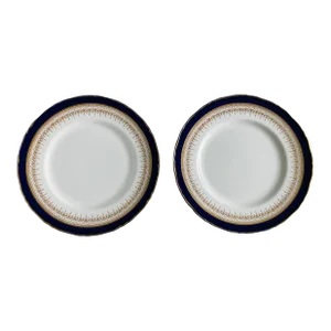 Vintage Royal Worcester "Regency" Fine Bone China Dinner Plates Set of 2