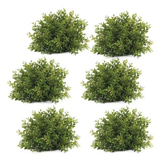 Spring Mini Leaf Foliage Half Orb (Set of 6) For Sale