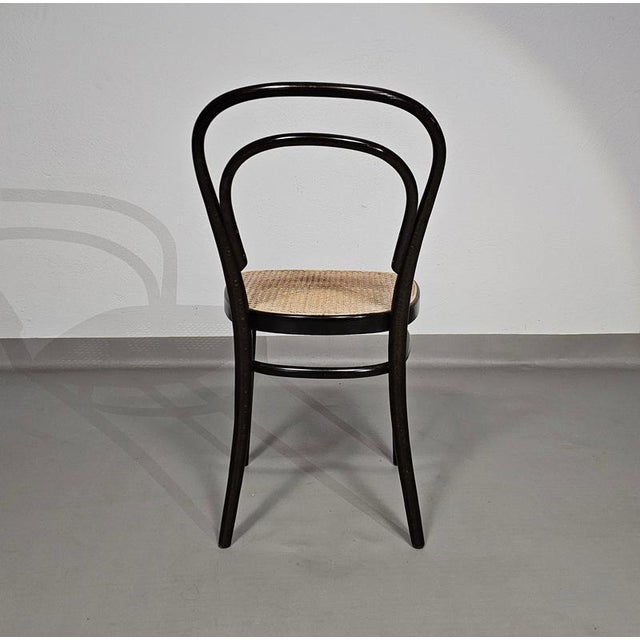 Model 214 and 79 Cafe Chairs with Cane Seats by Michael Thonet, Set of 3 For Sale - Image 12 of 18