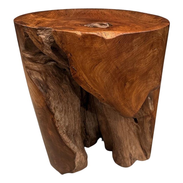 Andrianna Shamaris Sculptural Teak Wood Tray Side Table For Sale