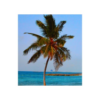 Paradise Island by Rick De La Guardia Original Photograph Poster For Sale