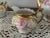 Antique Mz Austria Tea Set- 3 Pieces For Sale In Dallas - Image 6 of 11
