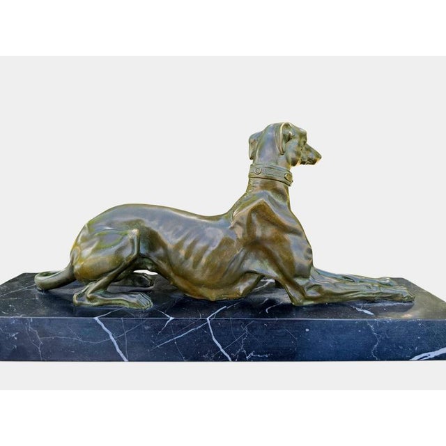 Art Deco Bronze Greyhound Sculpture from F. Galcera, 1920s For Sale - Image 9 of 13