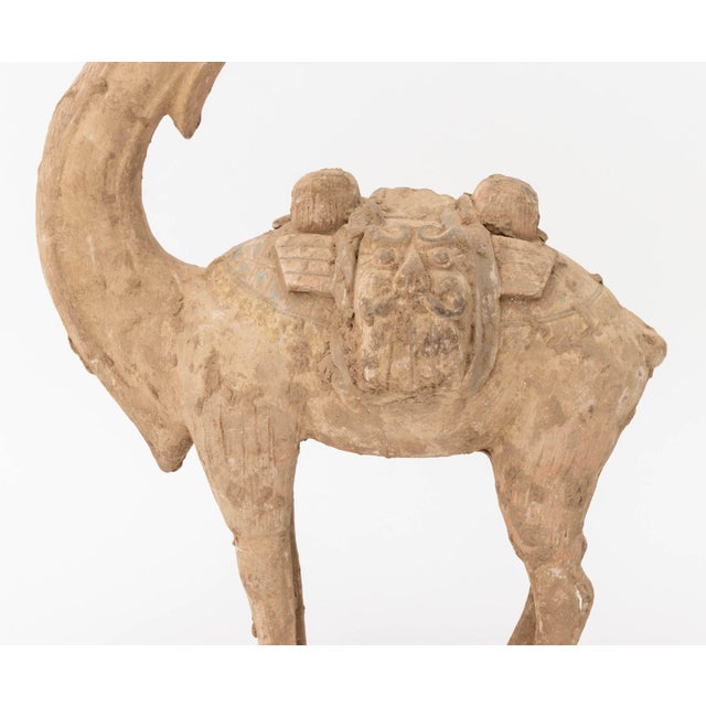 Chinese Tang Style Standing Camel Pottery Sculpture For Sale - Image 4 of 11