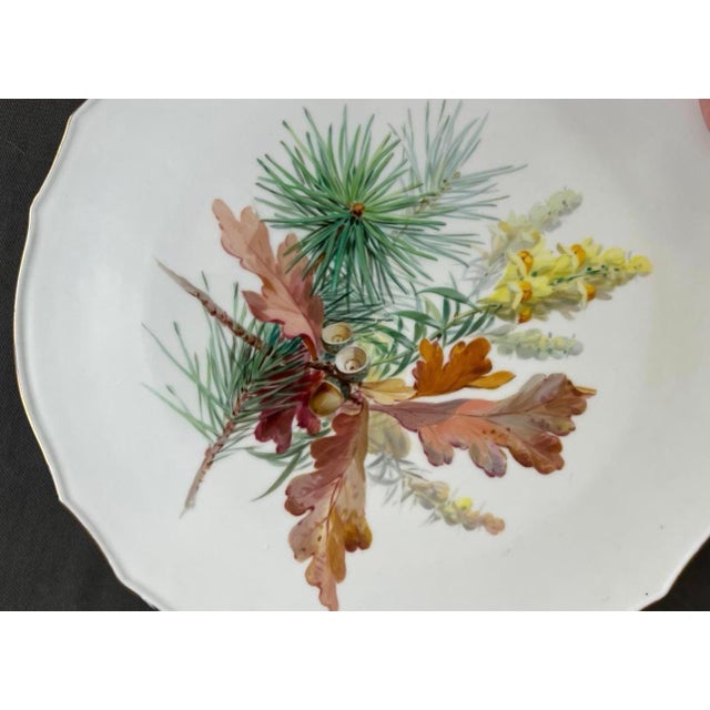 Large Porcelain Plate with Floral Motif from Meissen, 1890 For Sale - Image 6 of 10