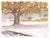 This gouache painting captures a serene winter scene in Englewood, Colorado, showcasing a solitary tree adorned with the...