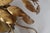 Hollywood Regency Gilt Flush Mount with Branches and Leaves, 1970s For Sale - Image 16 of 17