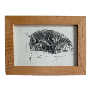 Framed Lucy Dawson Vintage Pencil Sketch Bulldog Print