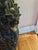Brown Italian Rococo Style 18th Century Commode For Sale - Image 8 of 13