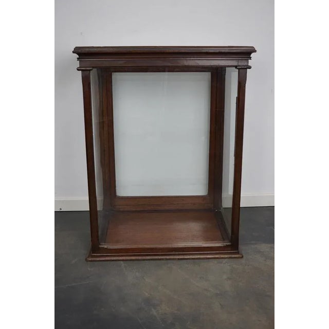 Victorian Mahogany Museum Display Cabinet For Sale - Image 3 of 12