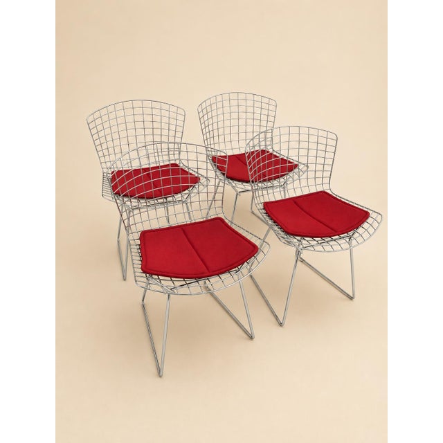 Wire Chairs by Harry Bertoia for Knoll Int., 1970s, Set of 4 For Sale - Image 9 of 9