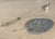 Emilia Castillo Candle Snuffer and Leaf Dish For Sale - Image 9 of 12