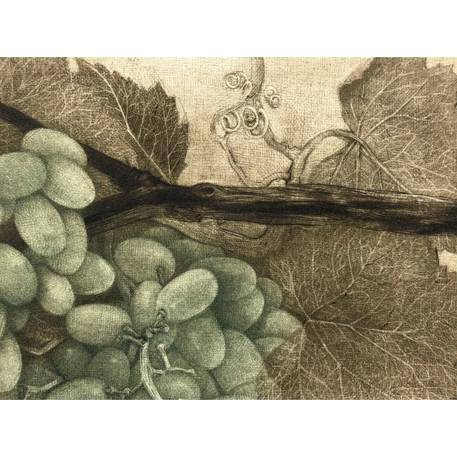 G H Rothe Grapes Art Hand Signed Limited Edition 1983 on Paper Fruits Original For Sale In Denver - Image 6 of 8