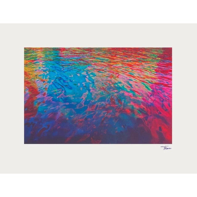 Philippe FRESCO Reflections 1993 screenprint on BFK Rives paper signed in the plate 19.7 x 25.6 in illustration : 12.6 x...