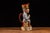 Traditional 1918 Royal Staffordshire Marshal Foch Toby Jug For Sale - Image 3 of 7