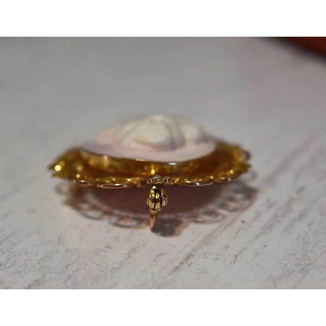 Metal Antique 14k Conch Shell Cameo With Seed Pearls Brooch and Pendant For Sale - Image 7 of 13