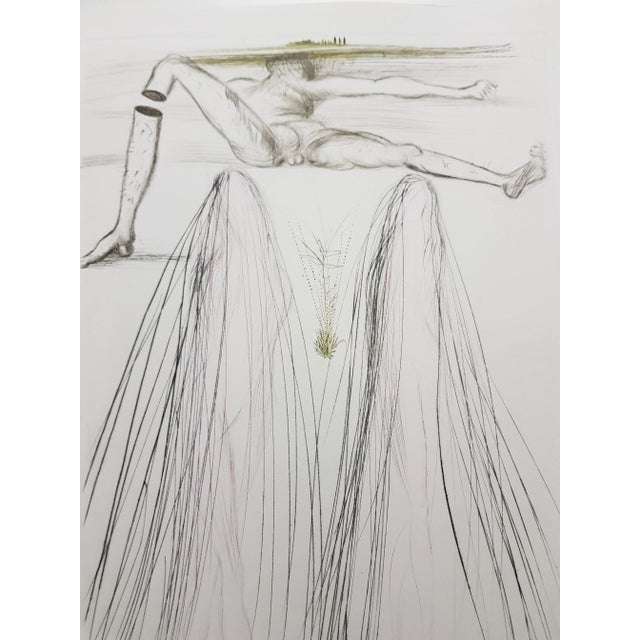 Wood Salvador Dali - The Giant Beliagog - Original Etching 1970 For Sale - Image 7 of 8