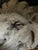 White Antique Terra Cotta Brick - Roaring Lion Head For Sale - Image 8 of 10