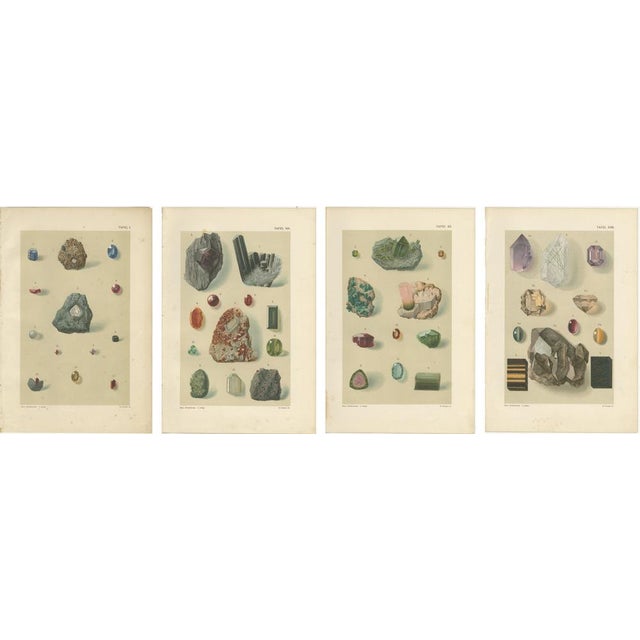 Antique Gemstone Prints, Diamond Garnet Tourmaline Set, Germany c.1900 A visually striking set of antique gemstone and...