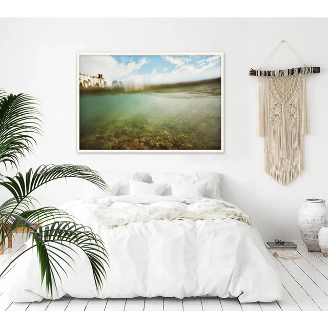 DESCRIPTION: Depths Below by Trunk Archive, Framed Art Print Frame: White Matte This underwater place before you just...