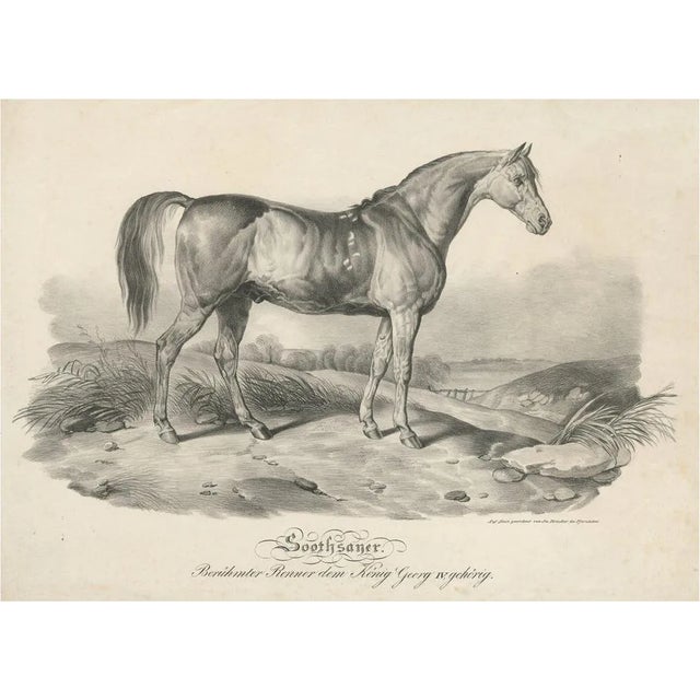 Brucker, Race Horse Soothsayer Belonging to King George IV, Print For Sale