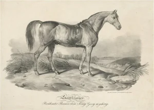 Brucker, Race Horse Soothsayer Belonging to King George IV, Print