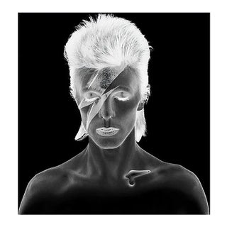 David Bowie Aladdin Sane - Black & White Neg Remaster - Limited Estate Edition, 2010 For Sale