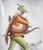 Ceramic Robin Hood Umbrella Stand from C.I.A. Manna, 1950s For Sale - Image 15 of 18