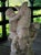 Antique Italian Carved Marble Fountain Depicting Putti Wrestling a Dolphin For Sale - Image 11 of 13