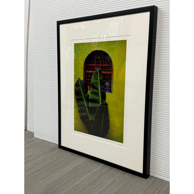 Design Plus Gallery presents Maya, A World of Color Photograph of a Chartreuse Wall in Mexico by Jeffrey Becom. The...