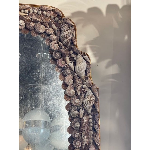 The Vintage Seashell Mirror is a unique and charming piece of home decor. Its intricate design featuring seashells adds a...