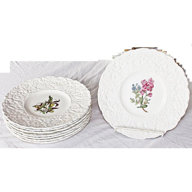White Royal Couldon Dessert Plates, Set of 6 For Sale - Image 8 of 8