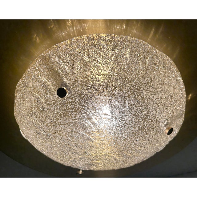 Large Space Age Murano Glass Light from Honsel, 1960s For Sale - Image 10 of 18