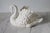 Vintage white porcelain swan planter. No maker mark. Minor age wear. No chips or cracks.