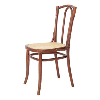 Antique Austrian Bentwood Chair in Rattan in the Style of Thonet No. 56, 1930s For Sale