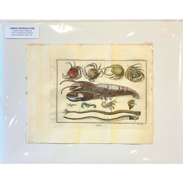 Illustration Lobster, Seahorse & Crab Original Engraving Le Spectacle De La Nature, Paris, 1741 For Sale - Image 3 of 3