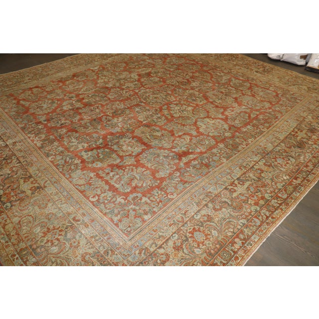 Square Antique Persian Sarouk, 13'6'' X 12'6'' For Sale - Image 9 of 16
