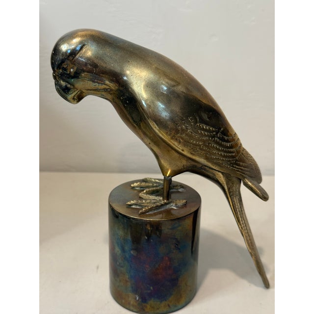 Stunning Mid Century Solid Brass Macaw Parrot Figure Regal Patina Decor Heavy For Sale - Image 9 of 12