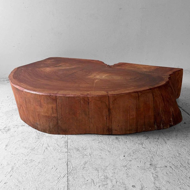 Mid-Century Modern Yakusugi Wooden Tree Trunk Display, Japan, 1950s For Sale - Image 3 of 18