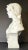 Late 19th Century French Art Nouveau Period Marble Bust of Female Beauty For Sale In New York - Image 6 of 10