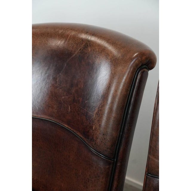 Sheepskin Dining Chairs, Set of 4 For Sale - Image 10 of 16
