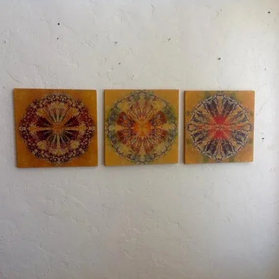 1970s 1970s Vintage Carter Smith Shibori Silk Art Panels - Set of 3 For Sale - Image 5 of 7