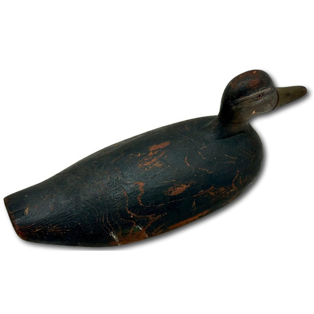 Wood Very Large Size Antique American Carved Wood Hand Painted Duck Hunters Decoy From Downeast Coastal Maine - 21 1/2 Inches Long For Sale - Image 7 of 18