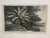Decorative framed botanical landscape print by Natural Curiosities, featuring a reproduction of the historical...