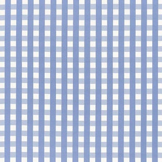 Sample - Schumacher Bermuda Check Fabric in Cornflower For Sale