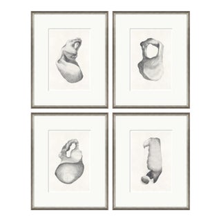 Study I-IV Set by Susan Hable For Sale