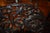 19th Century Set of Four Anglo Indian Rosewood Carved Side Chairs For Sale - Image 12 of 13