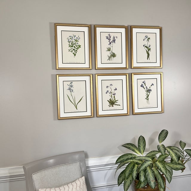 Original Vintage Botanical Prints Framed Set of 6 - Authentic 1953 Prints For Sale - Image 4 of 7